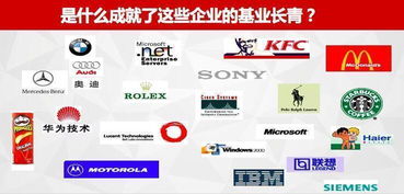 薪酬管理與績效管理 打造高效團隊，實現業績倍增的盈利模式