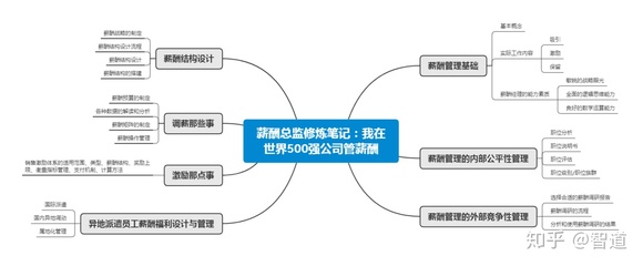 薪酬總監修煉筆記 解碼世界500強公司的薪酬管理智慧